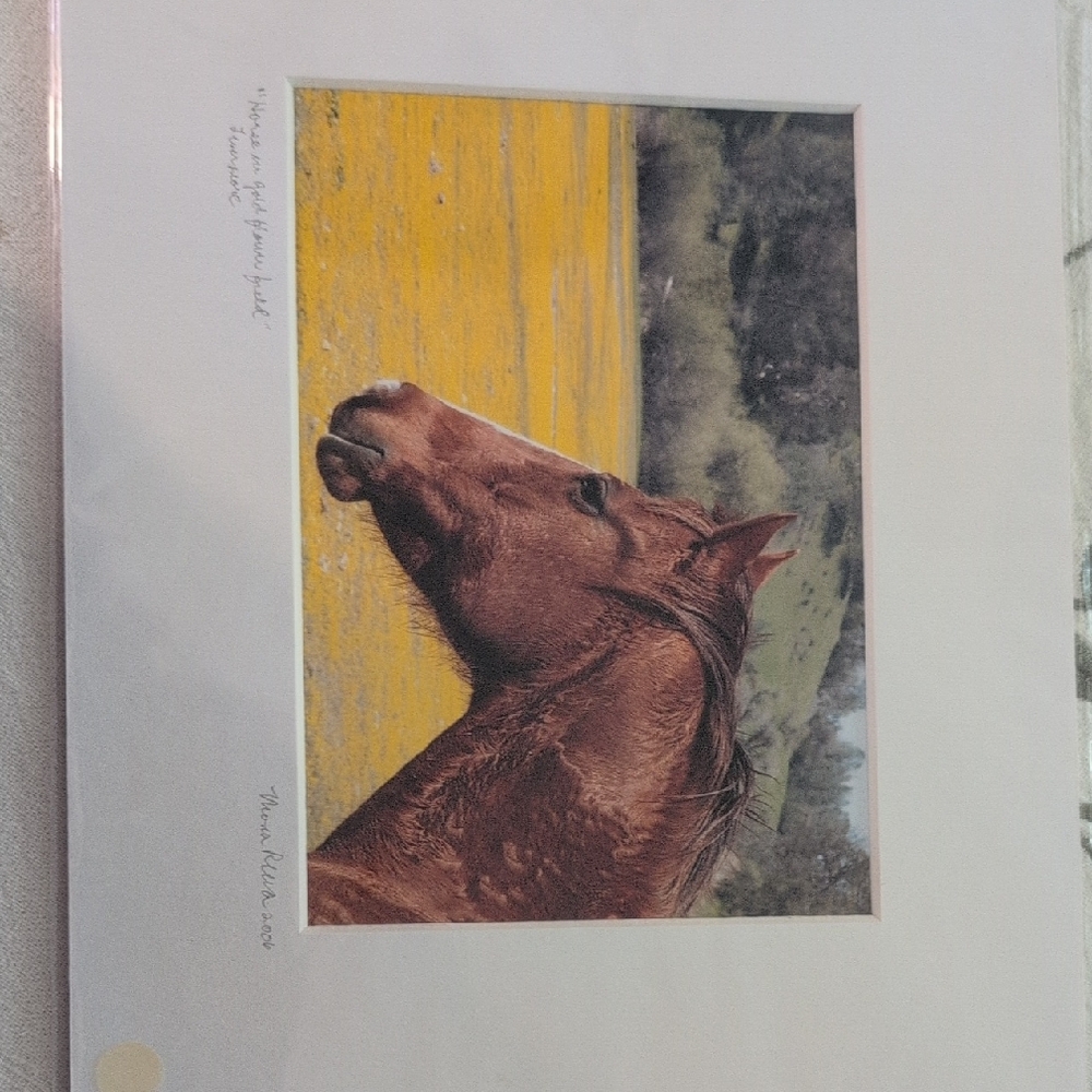 Chestnut Horse Photography Print - Brown Horse Wall Art